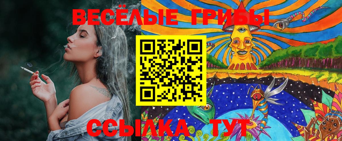 Псилоцибиновые грибы Magic Shrooms Калининград