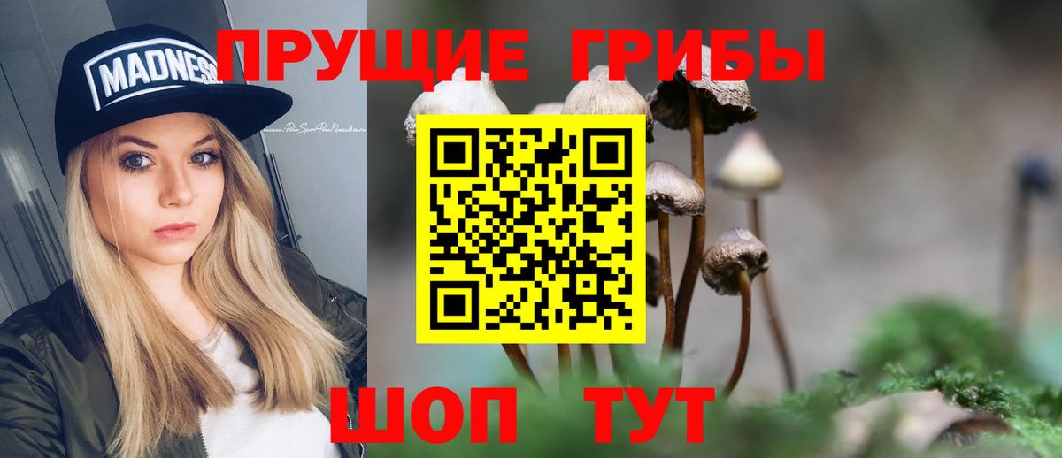 Галлюциногенные грибы Magic Shrooms  Вход с VPN  Калининград 